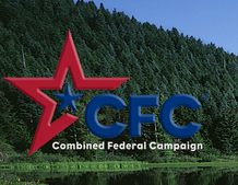 CFC Image